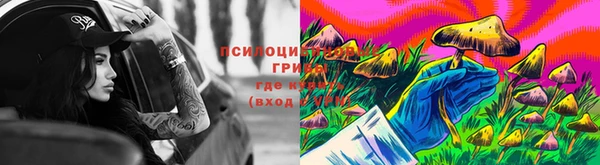 СК Наволоки